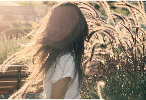 最新章节灯花笑第159章观点论述分析