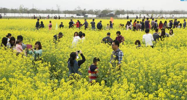 她金控最新动态,自然美景的旅行探索,寻找内心平和之地