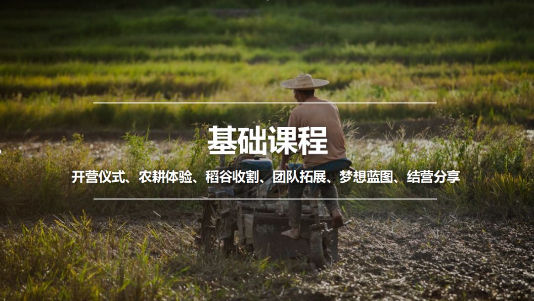 亿寻最新版本,与自然共舞,探寻内心平和的乐园