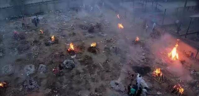 美国新疫情下的奇遇,新发现与家的温馨时刻