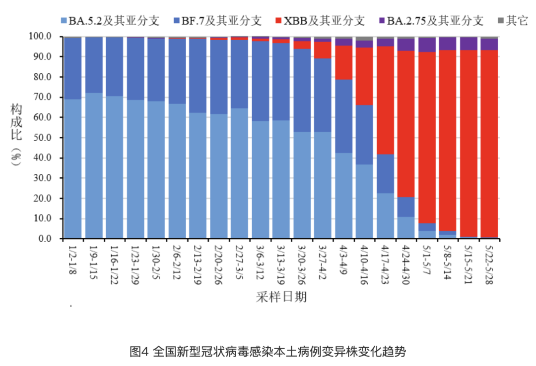 新冠感染人数最新动态,变化中的力量与学习带来的自信与成就感