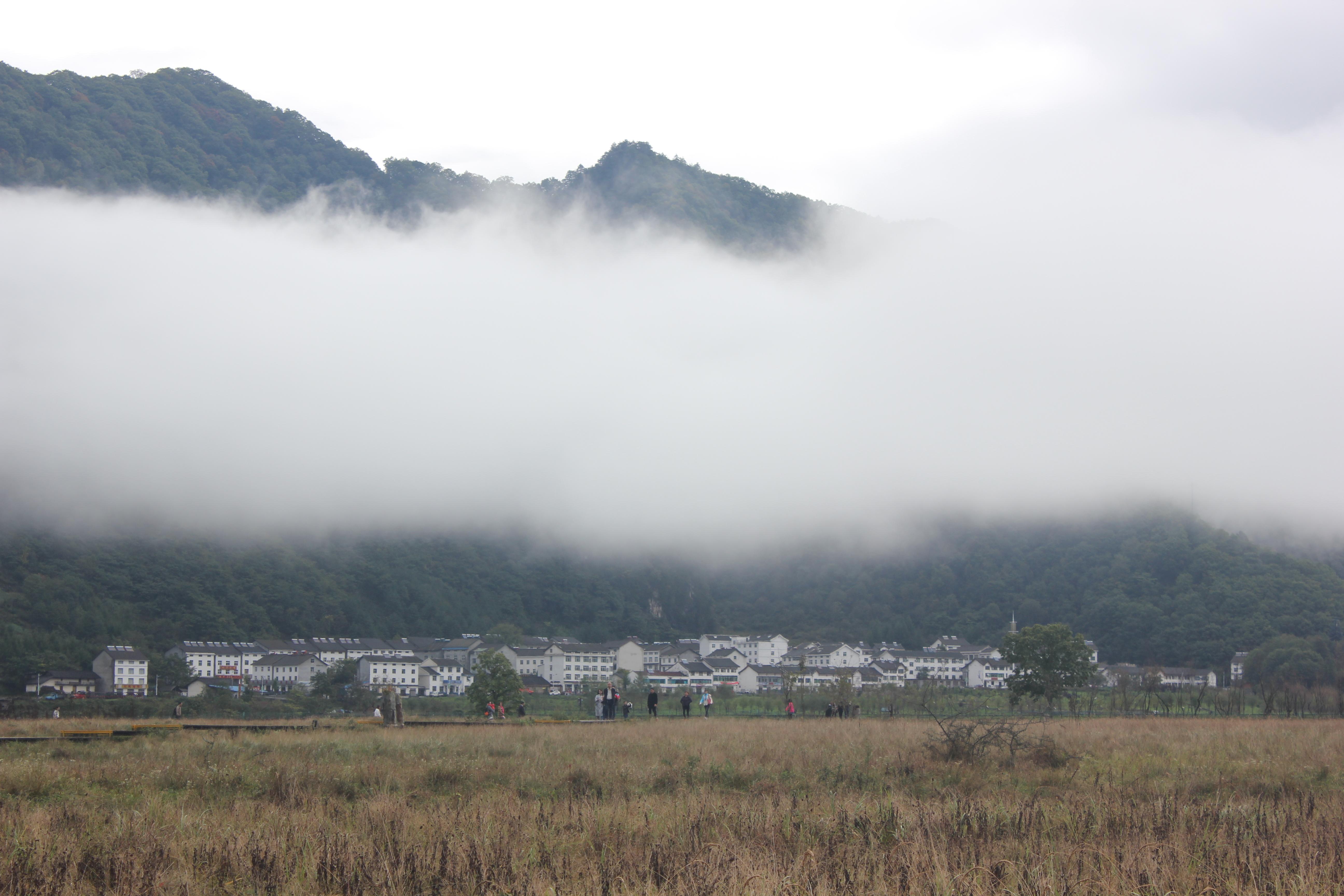 武汉扩区最新动态,自然之旅的呼唤与心灵平静的探寻