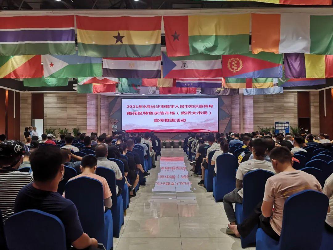 最新银行数字人民币,货币变革的深度探讨