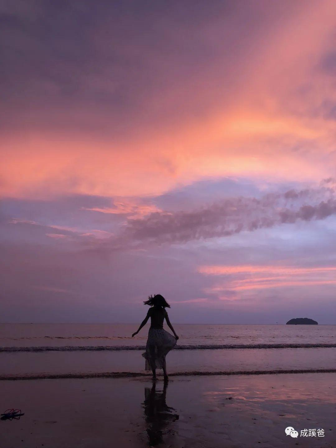 中国最新疫情消息与自然之旅的心灵慰藉