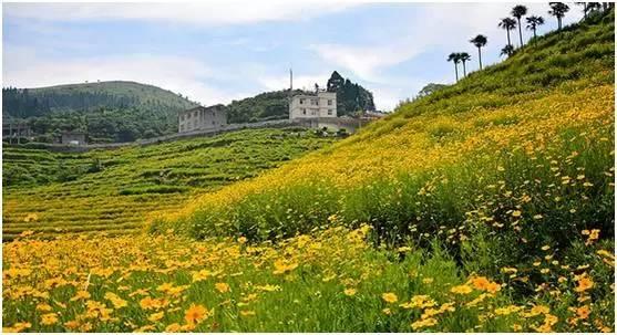 中国疫情最新数据与美景治愈之旅的双重关注