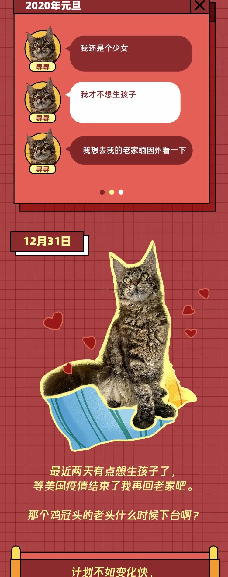 关于猫咪最新VIP破解版的探讨,正反观点与个人立场分析