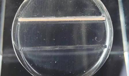 汽车芯片涨价最新动态,技术变革中的机遇与挑战