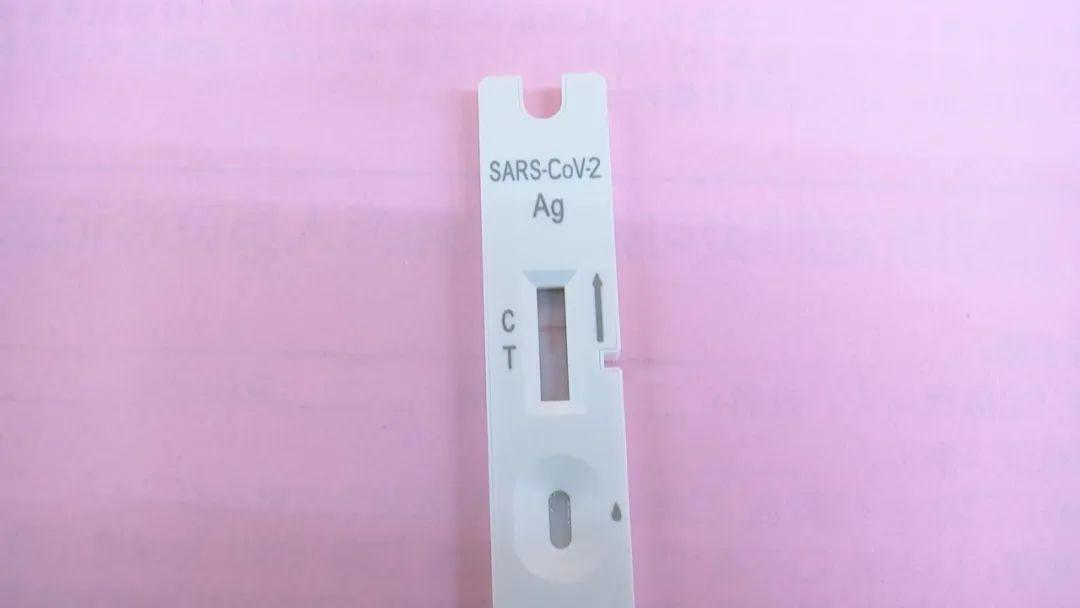 全球新冠病毒最新动态更新,全球范围的最新信息🌍