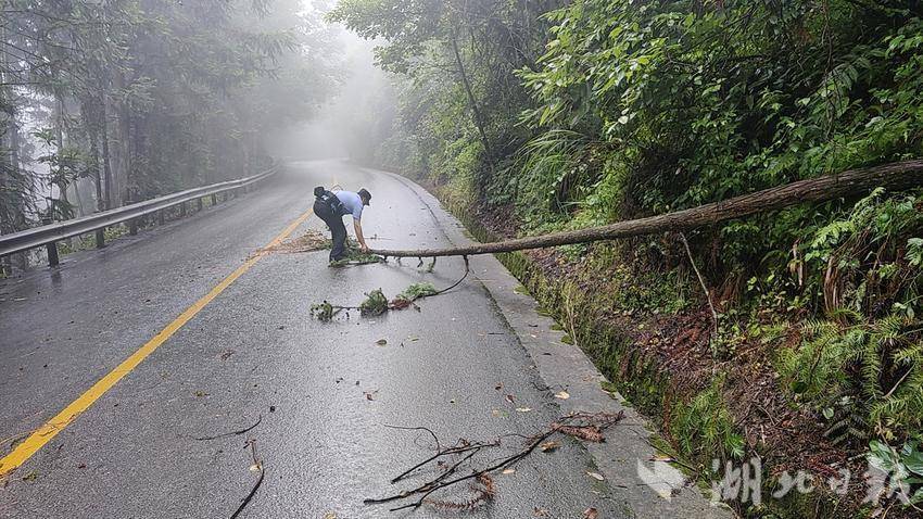 湖北鹤峰暴雨最新消息,影响、观点与分析综述