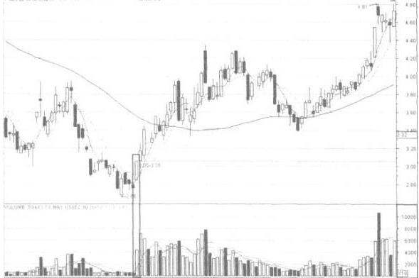 股市年行情,一段温馨的投资之旅回顾与前瞻