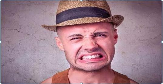 股市年行情,一段温馨的投资之旅回顾与前瞻