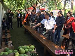 千百热门网络内容探索与掌握指南 2017年回顾与解析