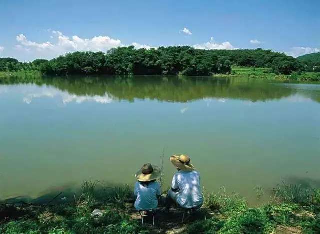 重庆免费垂钓胜地推荐,探寻内心平静的垂钓之旅