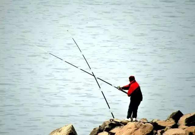 重庆免费垂钓胜地推荐,探寻内心平静的垂钓之旅