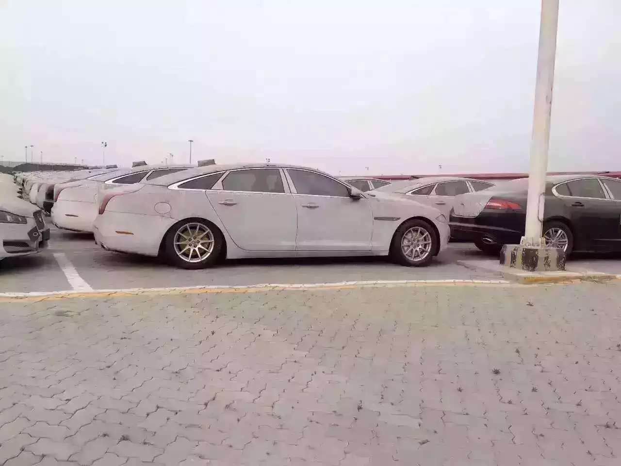 天津粉尘车市场探秘,友情与家庭的温馨旅程