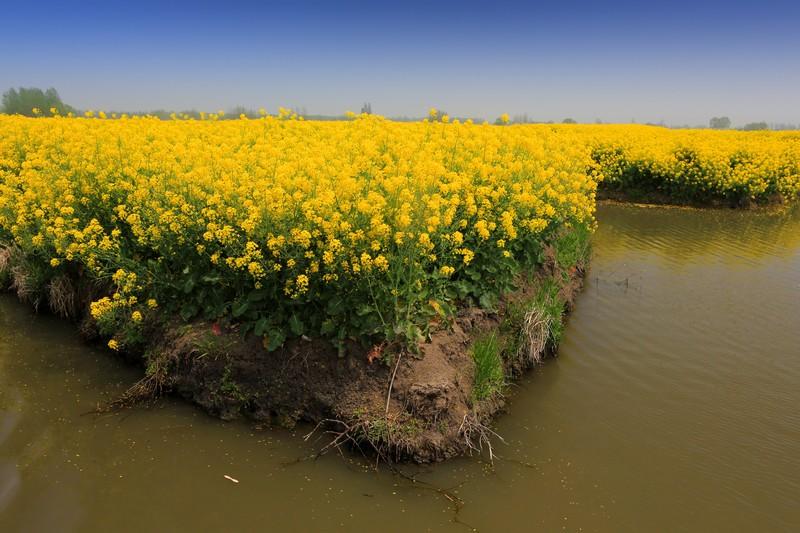 最新股市行情走势下的心灵与自然美景的交融之旅