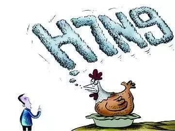 武汉流感疫情下的心灵之旅最新报道