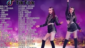 抖音热门歌曲推荐,友情与爱的旋律