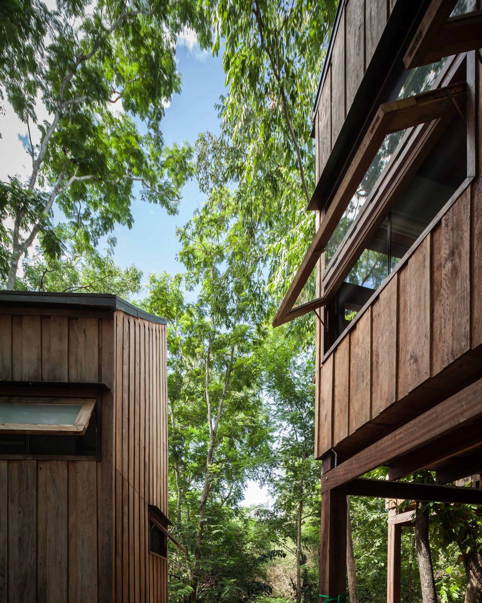 一米九男明星的宁静之旅,与大自然共舞,探寻内心平和的旅程