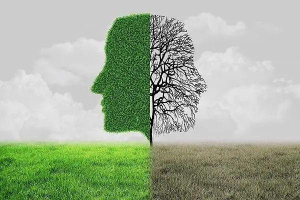 吉吉最新深夜,与自然美景的奇妙相遇,内心平和之旅