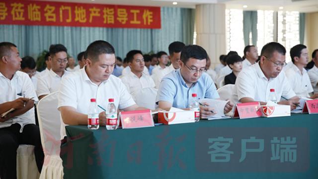 名门橙邦最新资讯,自然美景的治愈之旅探索