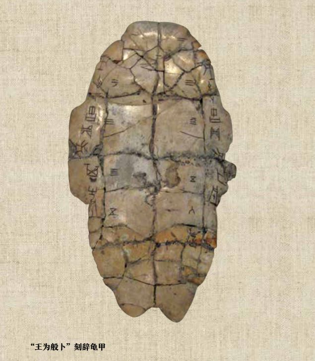 深度探究,龟甲新书背景、事件及影响全解析