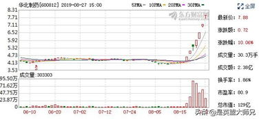 华北制药股价最新动态,行业趋势与公司表现深度解析