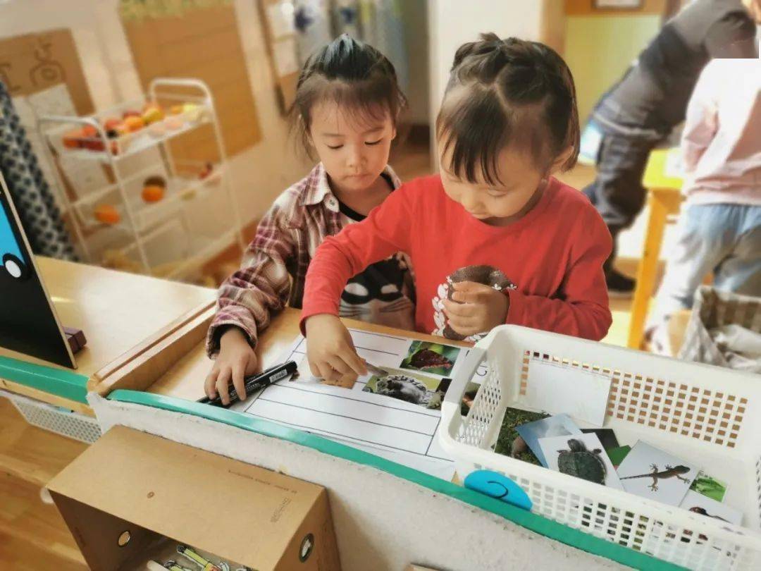 爱婷哥新动态,聚焦关注,见证成长之路