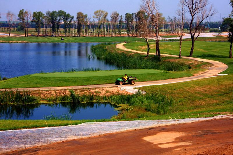 总裁晚间邂逅,自然美景中的心灵之旅最新章节更新速递