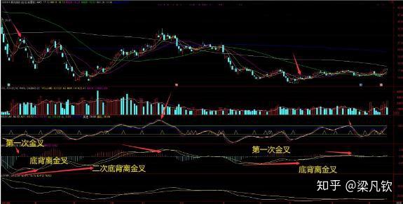 股票量化交易软件的秘密小店,探索金融科技的无限潜力