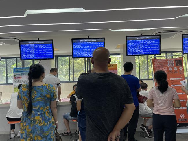 西凤42度酒价格表及购买指南,全面了解酒品与价格信息