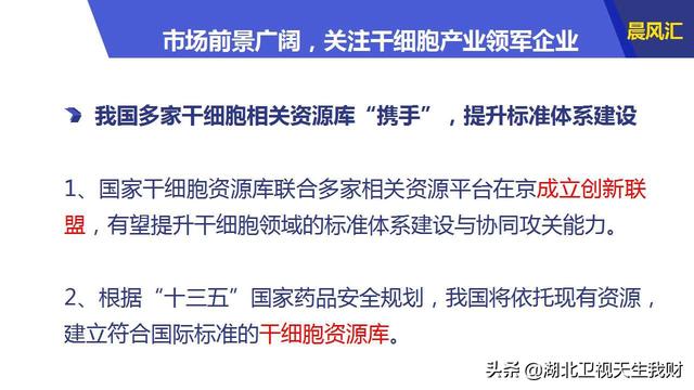 行情宝安卓版,科技引领资讯时代,一手掌握市场动态