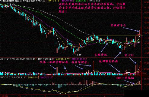 深度解析股市案例,成功与失败的股市之路探索