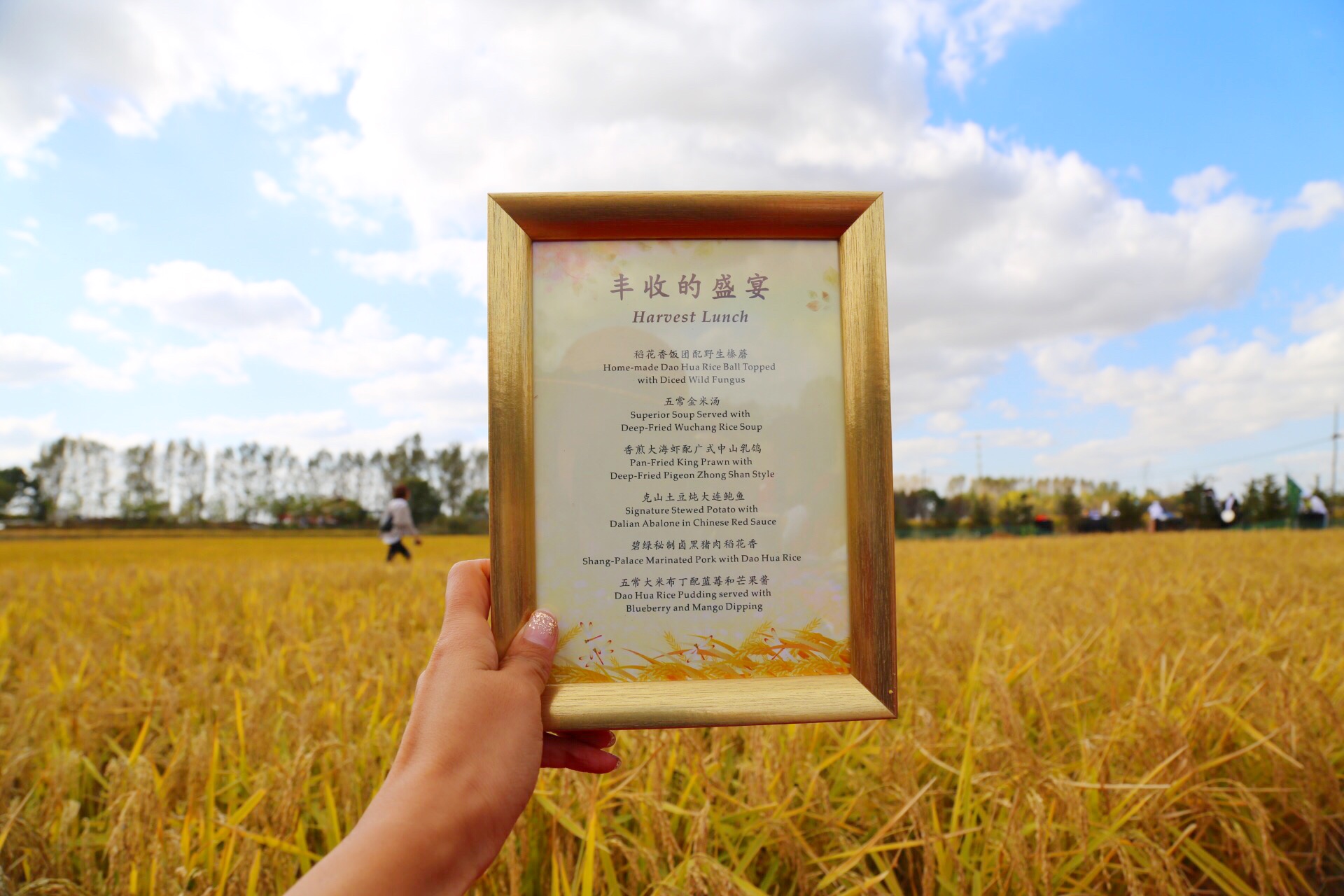 板蓝根资讯,自然美景的心灵之旅