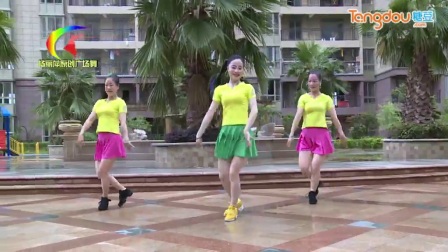 杨丽萍广场舞教程大揭秘,最新舞步教学指南!
