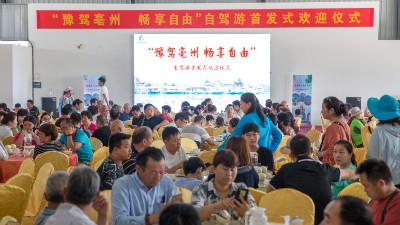 亳州房价最新动态及市场走势分析与预测