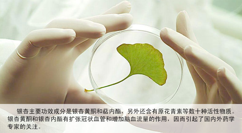 银杏滴丸价格探索,自然美景背后的旅行体验与探寻