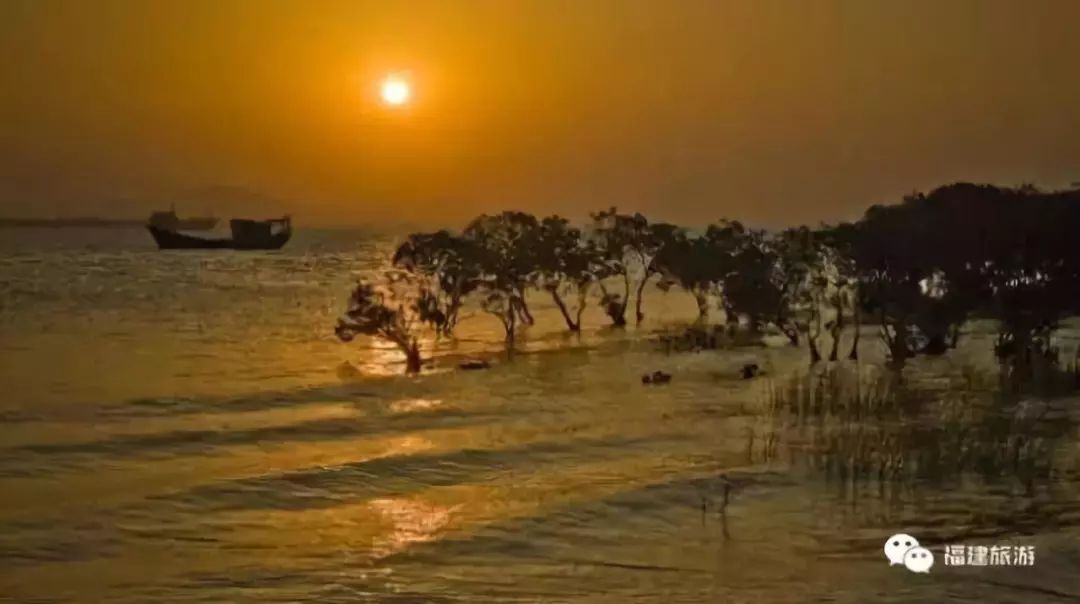 青岛胶州最新动态揭秘,巷弄深处的独特风味