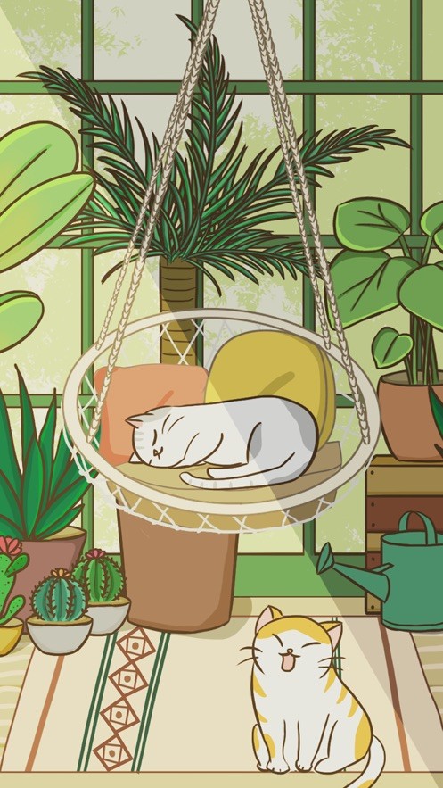 猫咪日常破解,温馨有趣的最新故事分享