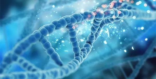 揭秘新病毒,背景、事件、影响与时代地位探索