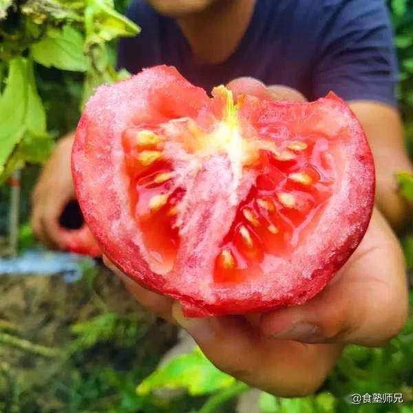 四川今日西红柿行情概览与最新市场分析