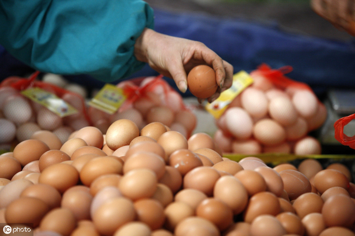 中国禽病网鸡蛋价格行情实时更新与趋势分析