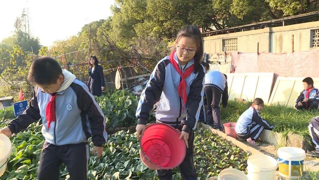 甲最新资讯,学习变革的力量,自信成就感的旅程启程