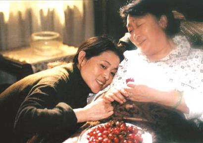 电视剧爱,情感、人性与社会的多维交织探讨之路