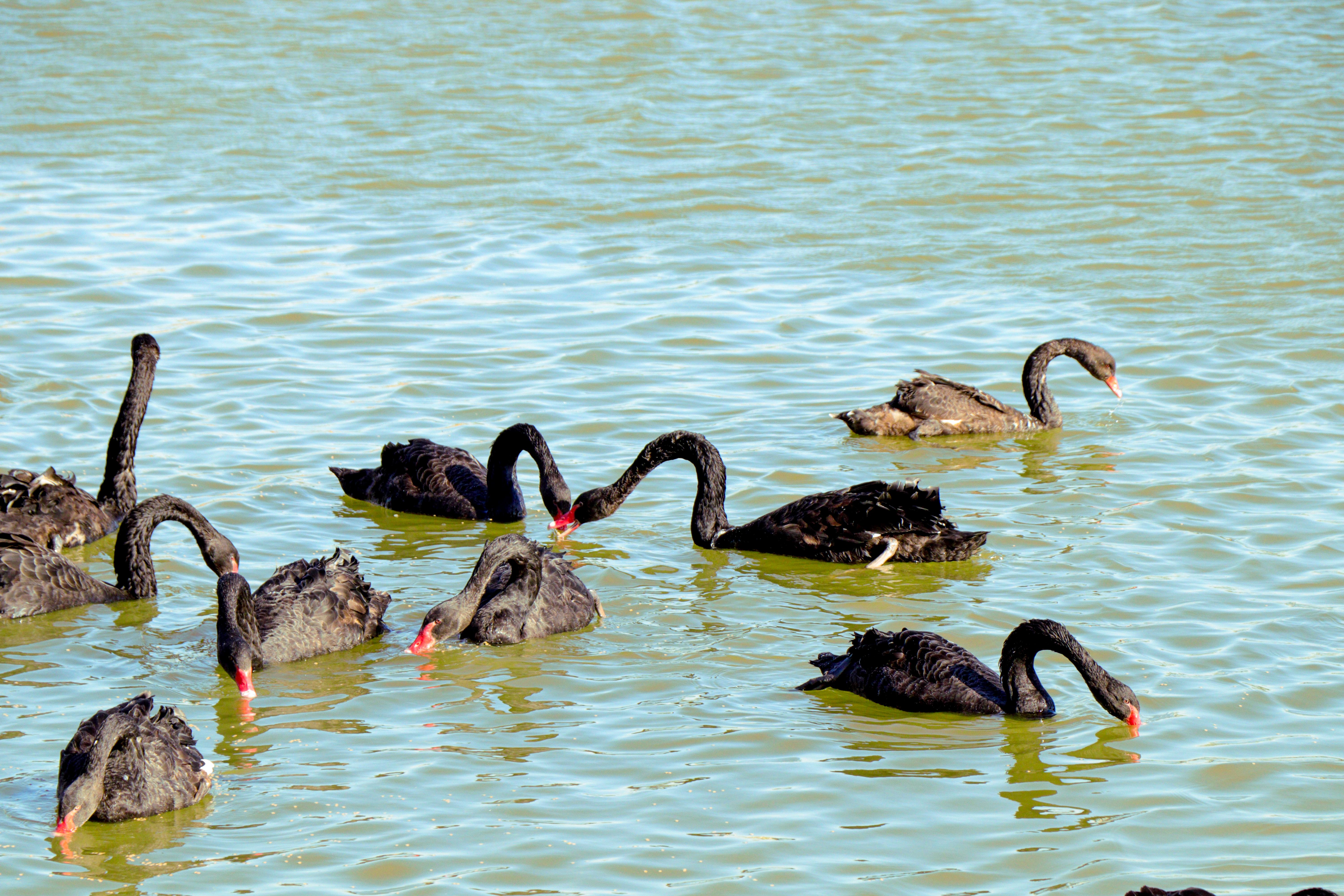 电视剧圣水湖畔角色与演员深度解析,魅力四溢的演员阵容