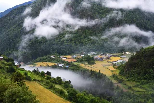 演员毛孩的寻心之旅，与自然美景的奇妙邂逅