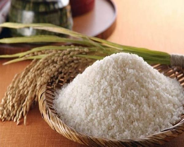 最新大米价格探索,稻米之旅追寻内心平静