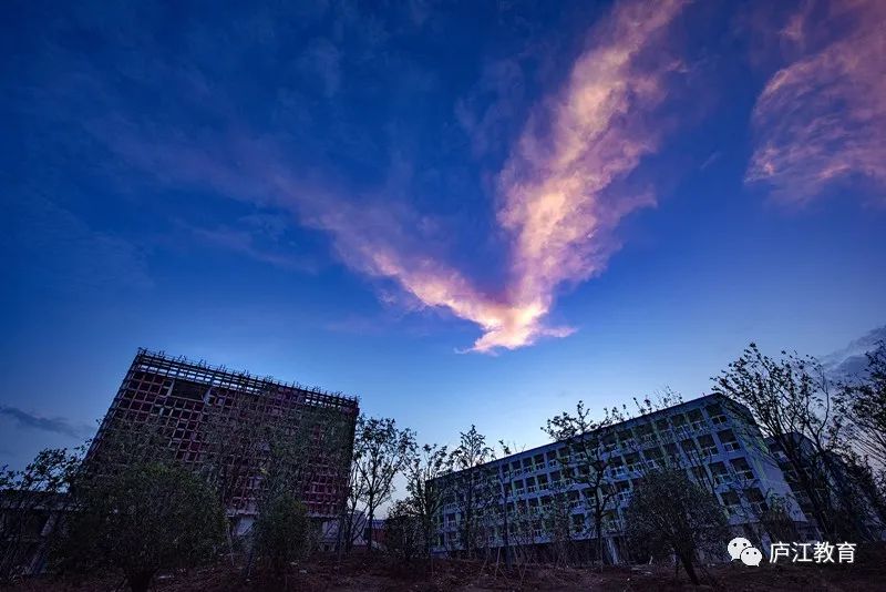 柴窑最新资讯揭秘,获取与了解柴窑最新动态的渠道与资讯汇总