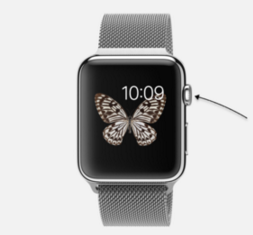 苹果手表最新版本的深度解析,功能与特点一览