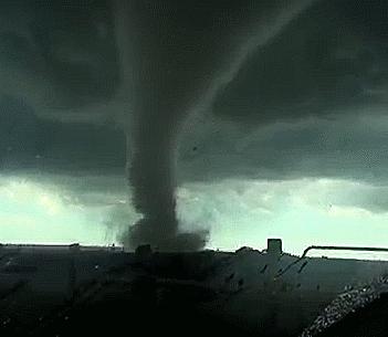 最新中国台风动态更新